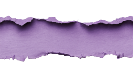 Torn purple paper strip with textured detail isolated on white background