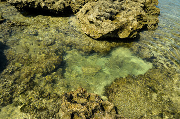 Tropical beach, clear water, visible coral reef