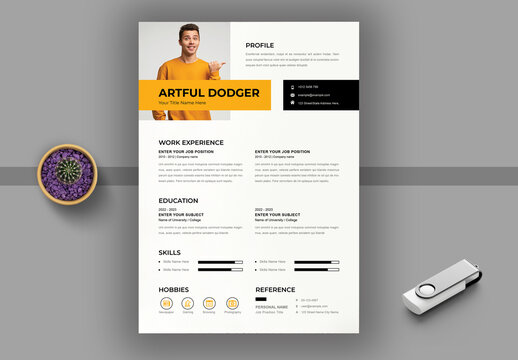 Modern Resume Template Layout