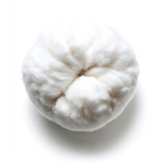 Soft and Fluffy White Cotton Ball Surrounded by White Background with Natural Texture and Detail