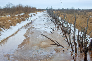 The old canals are cleared of snow and ice in the spring. The remains of dead woody vegetation...