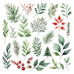 Seamless pattern with christmas trees with holly