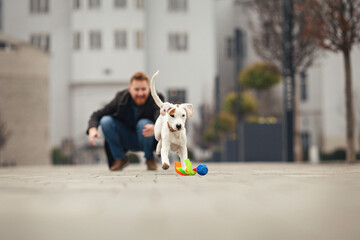 Handsome young man spending time with his dog