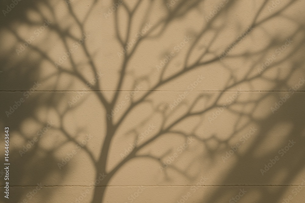 Aufkleber intricate shadows of a leafless tree casting artistic patterns on a textured wall during the golden 