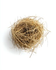 Top View of Tumbleweed Isolated on White Background