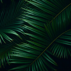 closeup nature view of green leaf and palms background. Flat lay, dark nature concept, tropical leaf 14