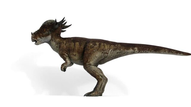 stygimoloch animal on white background