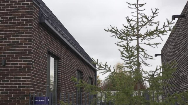 Dark brick house with large windows stands behind metal fence. Young pine tree beetwen buildings adds greenery to modern architecture
