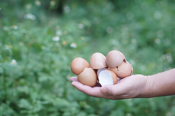 Close-up of hand holding eggshells in  garden, ready to be used for composting. Concept: food waste...