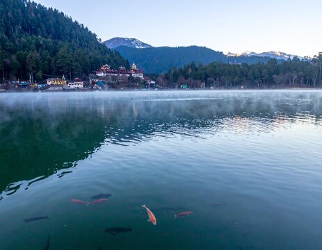 Rewalsar Lake is a sacred destination known for its serene atmosphere, Tibetan monasteries, and floating fish, surrounded by lush forests and stunning Himalayan views.

