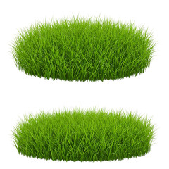 Green grass isolated on white