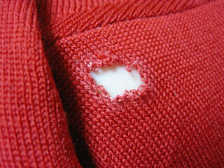 Woolen red sweater that had become infected through holes eaten by insects.
