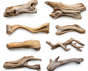 Collection of driftwood pieces with varied shapes and textures.  Natural wood forms, light brown tones, and unique patterns