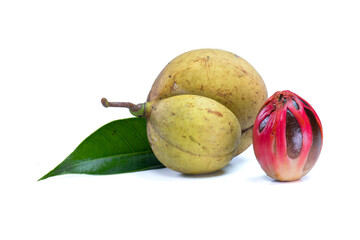 Composition of whole nutmeg fruit with green leaves and seeds with red mace looking fresh and natural isolated on white background, Suitable for illustration, culinary and health design