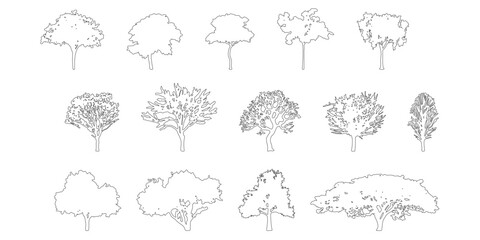 silhouette tree line drawing set, Side view, set of graphics trees elements outline symbol for architecture and landscape design drawing. Vector illustration in stroke fill in white. Tropical