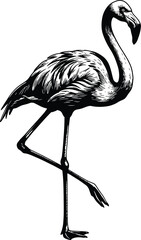 Flamingo Standing One Leg Silhouette Vector