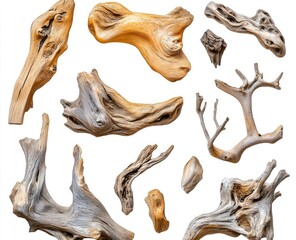 Fototapeta premium Assorted pieces of driftwood, various shapes and textures, against a plain white background. Different shades of gray and tan/beige wood are visible, showcasing the natural beauty of the pieces