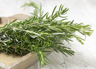 Fresh green rosemary sprigs in a tray on white rustic table closeup. Aromatic herb for culinary