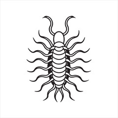 Obraz premium caecilia tentaculata vector art illustration