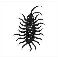 Obraz premium caecilia tentaculata vector art illustration
