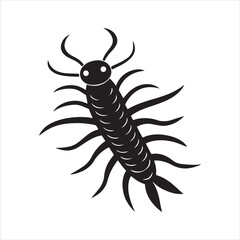 caecilia tentaculata  vector art illustration