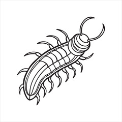 Obraz premium caecilia tentaculata vector art illustration