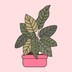 cute hand drawn cartoon vector illustration potted plant with green leaves isolated on pink background