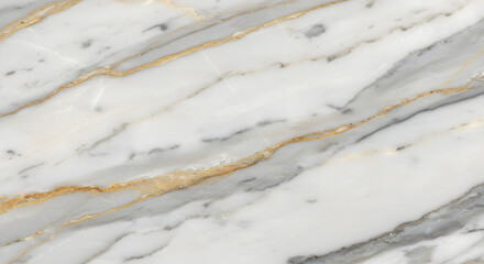 Elegant White Marble with Gold Veins Texture
