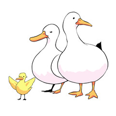 アヒルの家族のイラスト
