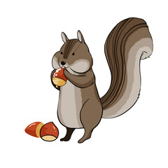 どんぐりをかじるリスのイラスト