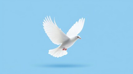 Obraz premium White Dove in Flight, Peace Symbol, Blue Background