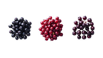 Fresh Elderberries Isolated on Transparent Background - Whole and Juicy Berries