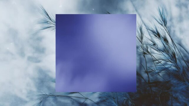 Minimal Abstract Poster Background with Solid Purple Square on Soft Smoke Black Flow, Ideal for Layouts, Design Mockups, Product Display or Modern Visual Presentations, Copy paste area, video
