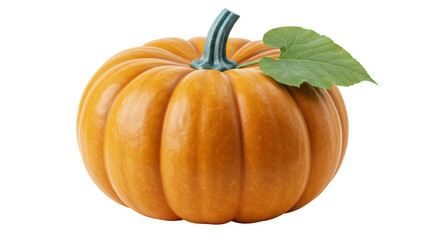 Isolated Pumpkin with Green Leaf
