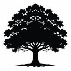 A detailed silhouette of an old tree reveals intricate branches and sprawling roots perfectly