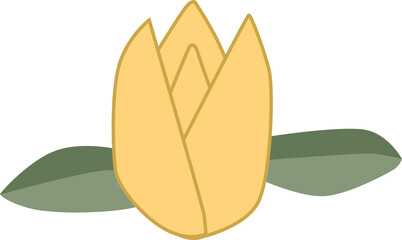 Yellow Jubilee Tulip