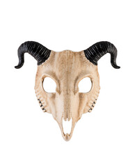 Animal skull with black horns isolated on white with clipping path