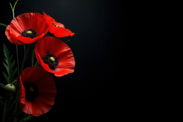 Poppy flowers on dark background. Remembrance Day, Veterans Day, Memorial Day. Red poppies represent honor, sacrifice, gratitude for military veterans. Commemorative floral tribute to fallen