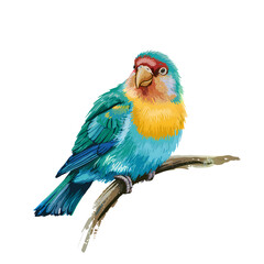 digital painting showcases a brightly colored love bird perched delicately on a slender branch, png