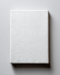 A white canvas with a white background