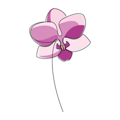 Hand drawn pink orchid flower vector. Linear icon. Line continuous drawing. Floral design, botanical print, card, wall art poster, logo, sign, doodle, symbol. Abstract cartoon plant illustration