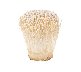 Enoki mushroom, Golden needle mushroom transparent png