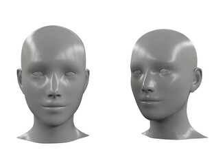 Female Head 3D Model isolated on white