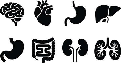 Essential Internal Organs Striking Human Anatomy Vector Icons