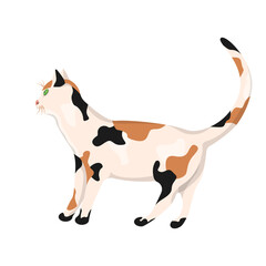 A tricolor cat isolated on a white background.Vector illustration of a pet.
