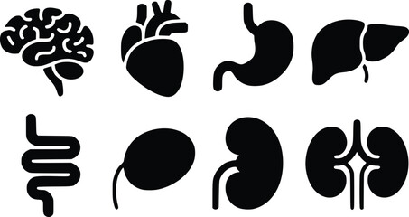 Essential Internal Organs Striking Human Anatomy Vector Icons