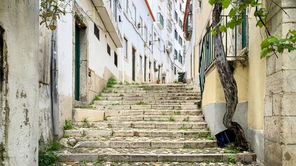 Desolate Lisbon alleyway with creeping ivy echoes Fado, evoking soulful saudade, perfect for...