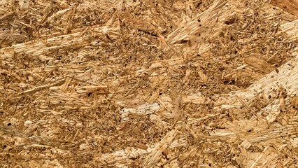 Rustic wood texture reminiscent of golden-hued autumn, eco-friendly architecture, and unique...