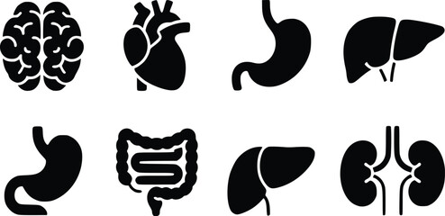 Essential Internal Organs Striking Human Anatomy Vector Icons