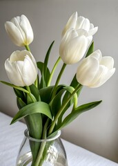 Bouquet of white tulips in a vase on the table
